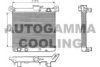 AUTOGAMMA 100249 Radiator, engine cooling